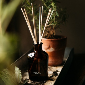 St Eval Bergamot & Nettle Reed Diffuser Refill