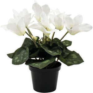 Artificial Cyclamen plant